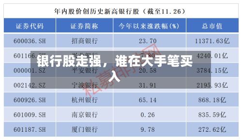 银行股走强，谁在大手笔买入