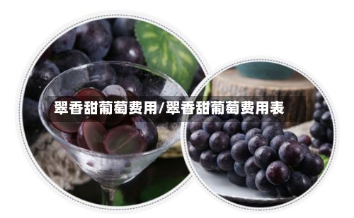 翠香甜葡萄费用/翠香甜葡萄费用表