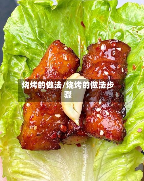 烧烤的做法/烧烤的做法步骤-第2张图片
