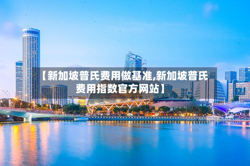 【新加坡普氏费用做基准,新加坡普氏费用指数官方网站】-第2张图片