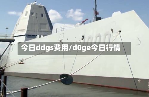 今日ddgs费用/d0ge今日行情-第2张图片
