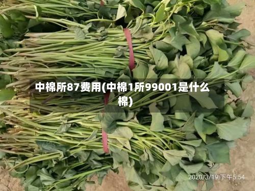 中棉所87费用(中棉1所99001是什么棉)