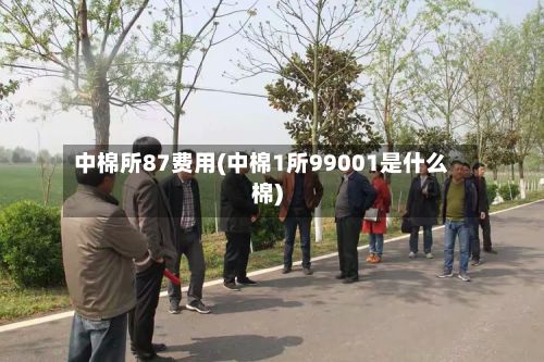 中棉所87费用(中棉1所99001是什么棉)-第2张图片