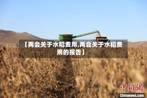 【两会关于水稻费用,两会关于水稻费用的报告】-第2张图片