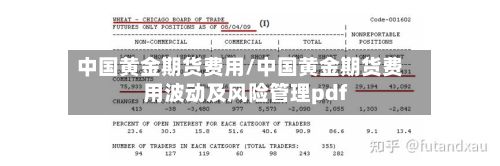中国黄金期货费用/中国黄金期货费用波动及风险管理pdf