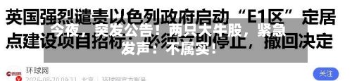 今夜	，突发公告！两只大牛股，紧急发声：不属实！-第2张图片