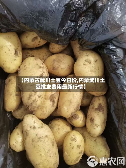 【内蒙古武川土豆今日价,内蒙武川土豆批发费用最新行情】