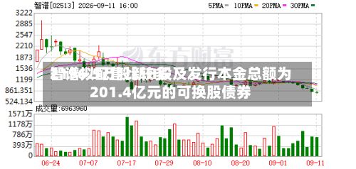 智谱拟配售比较多2196.5万股新H股及发行本金总额为201.4亿元的可换股债券-第1张图片