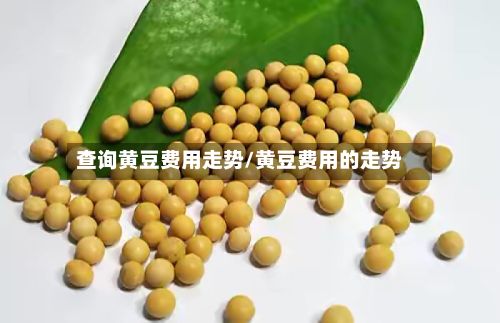 查询黄豆费用走势/黄豆费用的走势