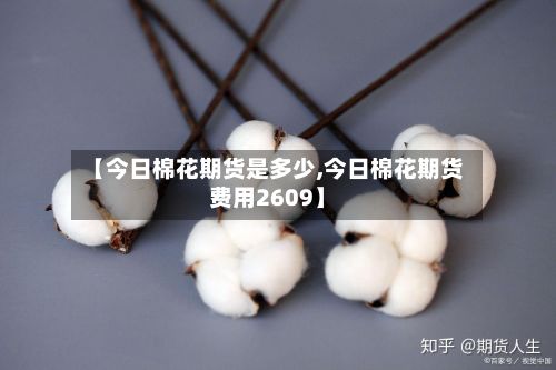【今日棉花期货是多少,今日棉花期货费用2609】-第2张图片