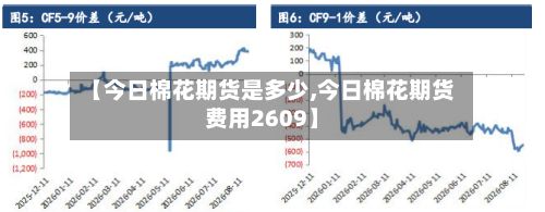 【今日棉花期货是多少,今日棉花期货费用2609】