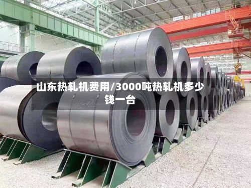 山东热轧机费用/3000吨热轧机多少钱一台