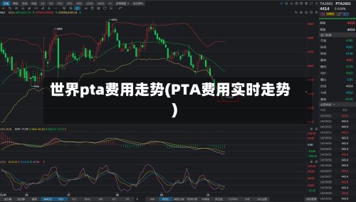 世界pta费用走势(PTA费用实时走势)-第2张图片