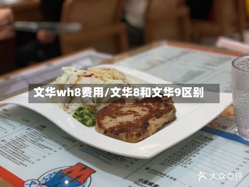 文华wh8费用/文华8和文华9区别