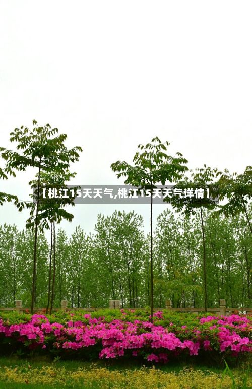 【桃江15天天气,桃江15天天气详情】-第2张图片