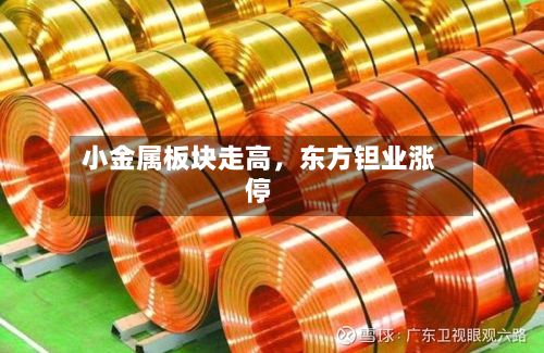 小金属板块走高，东方钽业涨停-第2张图片