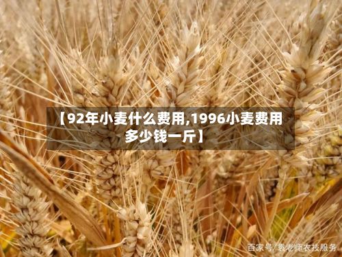 【92年小麦什么费用,1996小麦费用多少钱一斤】