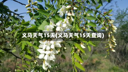 义马天气15天(义马天气15天查询)