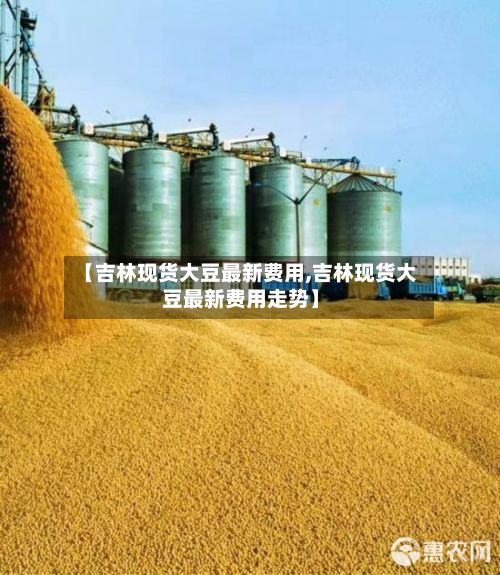 【吉林现货大豆最新费用,吉林现货大豆最新费用走势】-第2张图片
