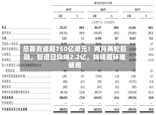 总募资或超750亿港元！两月两轮巨融，智谱日均烧2.2亿，烧钱循环难破局-第2张图片