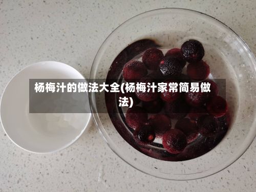 杨梅汁的做法大全(杨梅汁家常简易做法)