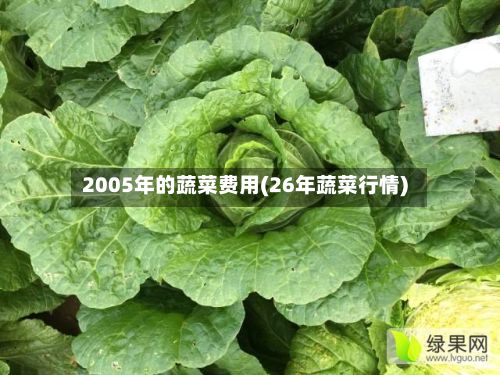 2005年的蔬菜费用(26年蔬菜行情)-第2张图片