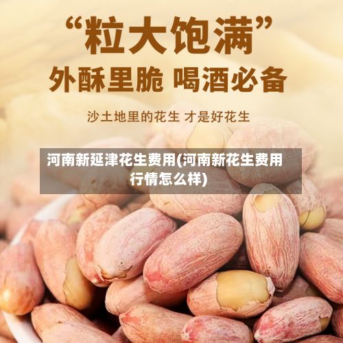 河南新延津花生费用(河南新花生费用行情怎么样)