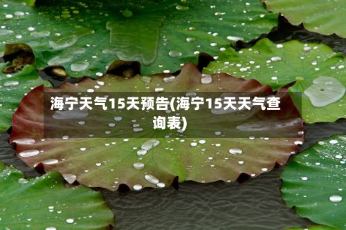 海宁天气15天预告(海宁15天天气查询表)