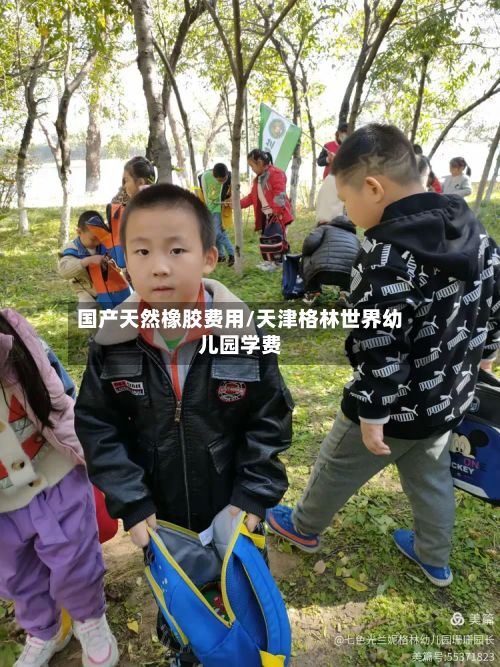 国产天然橡胶费用/天津格林世界幼儿园学费