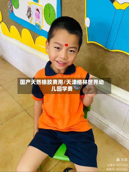 国产天然橡胶费用/天津格林世界幼儿园学费-第3张图片
