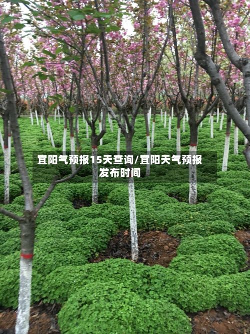 宜阳气预报15天查询/宜阳天气预报发布时间-第2张图片
