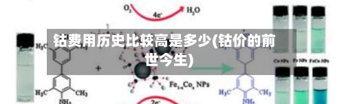 钴费用历史比较高是多少(钴价的前世今生)-第3张图片