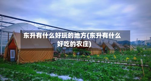 东升有什么好玩的地方(东升有什么好吃的农庄)-第2张图片