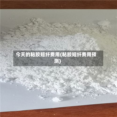 今天的粘胶短纤费用(粘胶短纤费用预测)-第2张图片