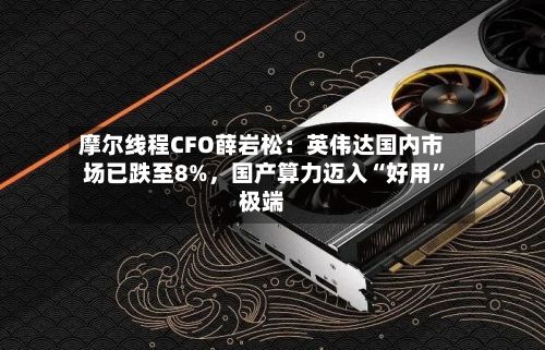 摩尔线程CFO薛岩松：英伟达国内市场已跌至8%，国产算力迈入“好用”极端-第2张图片
