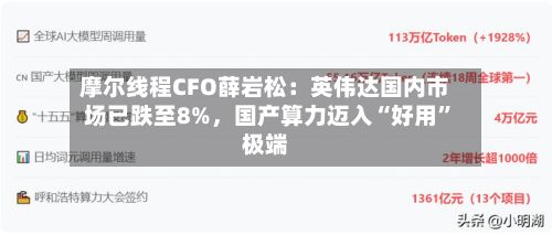 摩尔线程CFO薛岩松：英伟达国内市场已跌至8%，国产算力迈入“好用”极端-第3张图片