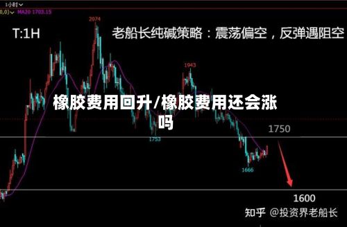 橡胶费用回升/橡胶费用还会涨吗