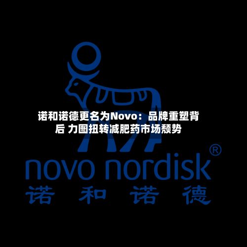 诺和诺德更名为Novo：品牌重塑背后 力图扭转减肥药市场颓势-第3张图片