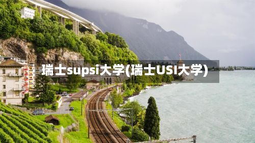 瑞士supsi大学(瑞士USI大学)