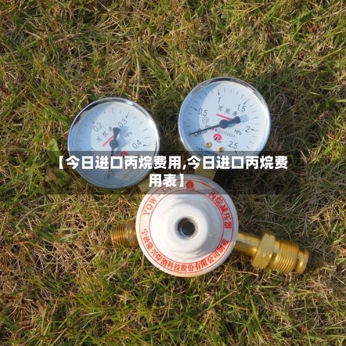 【今日进口丙烷费用,今日进口丙烷费用表】-第3张图片