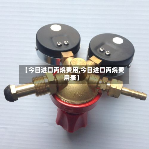 【今日进口丙烷费用,今日进口丙烷费用表】