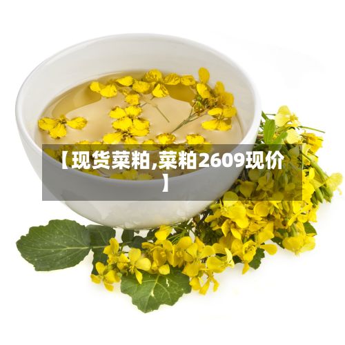【现货菜粕,菜粕2609现价】-第2张图片