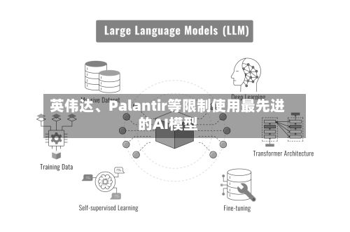 英伟达、Palantir等限制使用最先进的AI模型-第2张图片