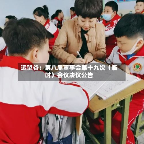 远望谷：第八届董事会第十九次（临时）会议决议公告