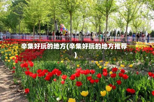 辛集好玩的地方(辛集好玩的地方推荐)
