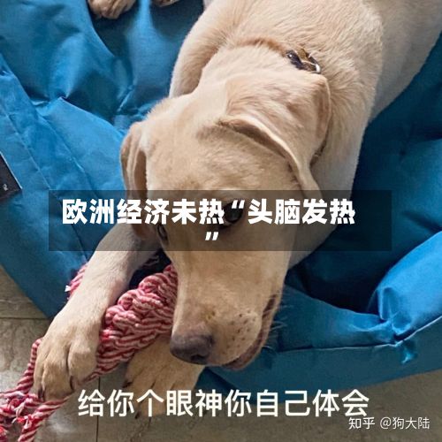 欧洲经济未热“头脑发热	”-第2张图片