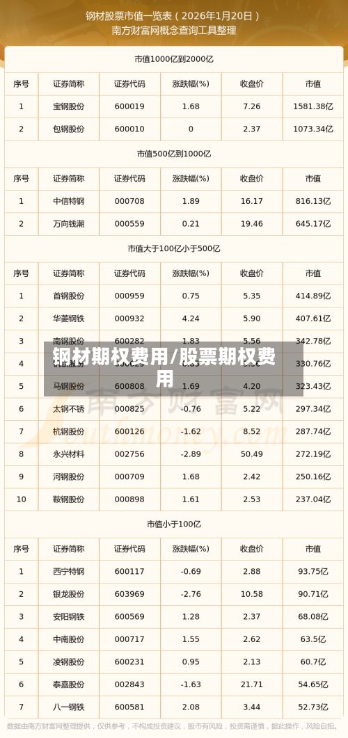 钢材期权费用/股票期权费用