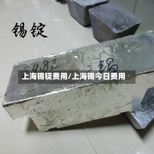上海锡锭费用/上海锡今日费用