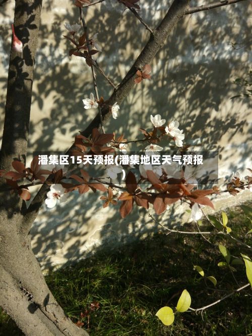 潘集区15天预报(潘集地区天气预报)-第3张图片