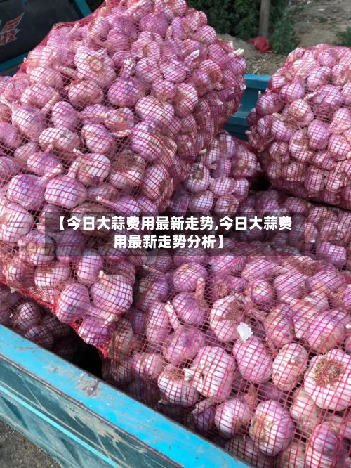 【今日大蒜费用最新走势,今日大蒜费用最新走势分析】
